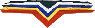 custom printed boy scout neckerchief colors