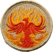 phoenix boy scout patrol patch